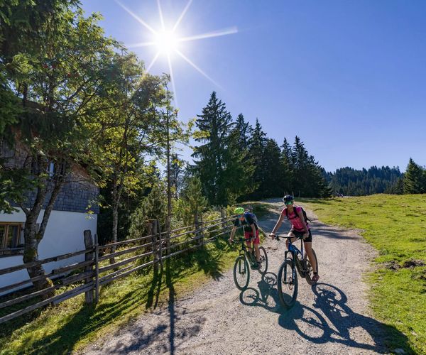 Zwei Personen fahren mit E-Bikes auf einem Schotterweg bergauf, mit sonnigem Himmel und Bäumen im Hintergrund.
