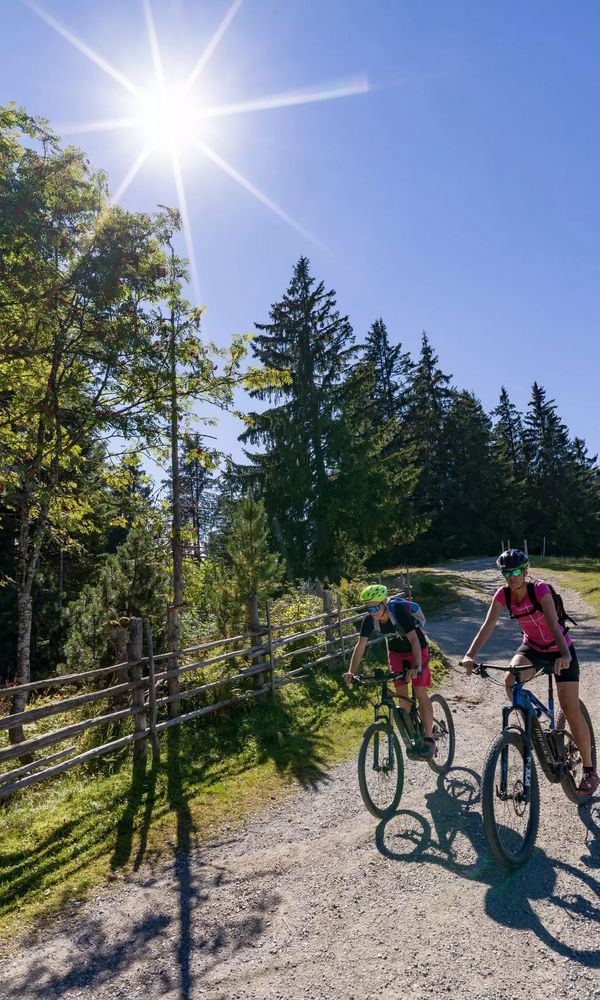 Zwei Personen fahren mit E-Bikes auf einem Schotterweg bergauf, mit sonnigem Himmel und Bäumen im Hintergrund.